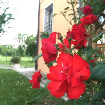 Il  In Giardino