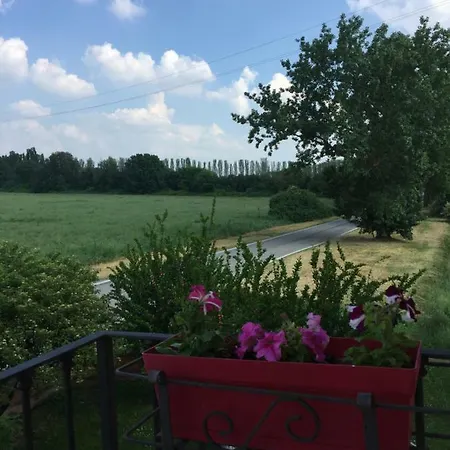 Il  In Giardino Ferrara