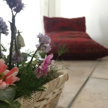 Appartamento Il  In Giardino *